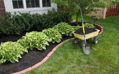 6 Spring Landscaping Tips