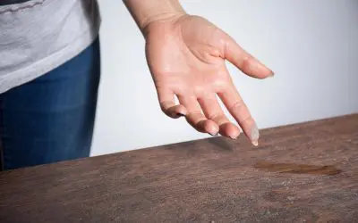 Allergy-Proofing Your Home: 5 Simple Steps for a Healthier Space