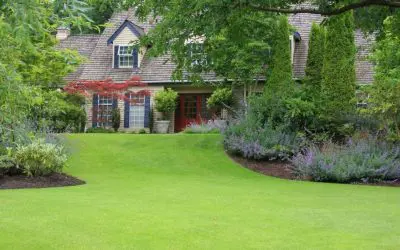 Easy Landscaping: Simple Tips for a Stunning Yard