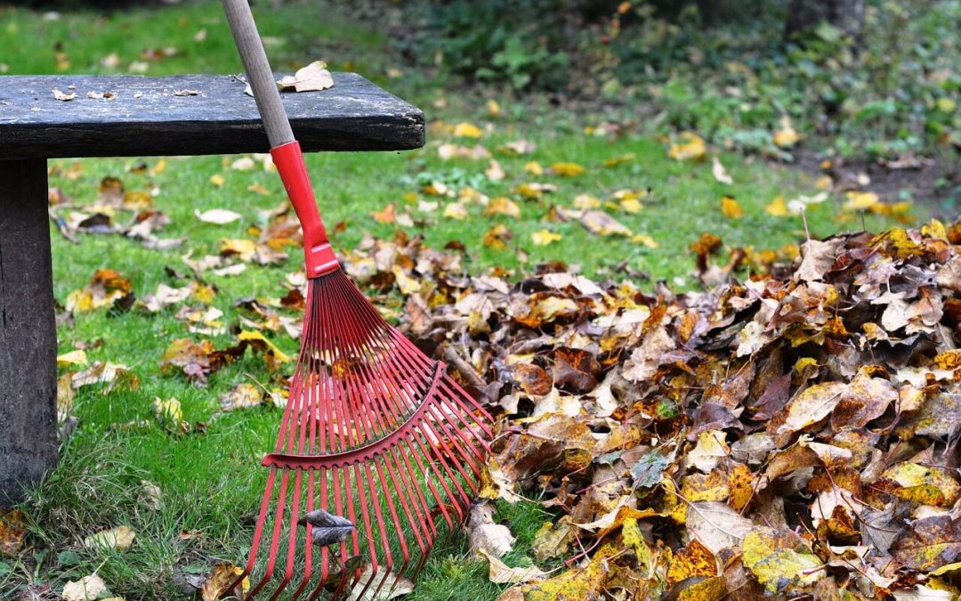 6 Simple Ways to Prepare Your Home for Fall