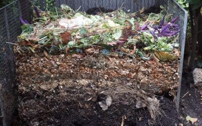 The Ultimate Guide to Composting at Home